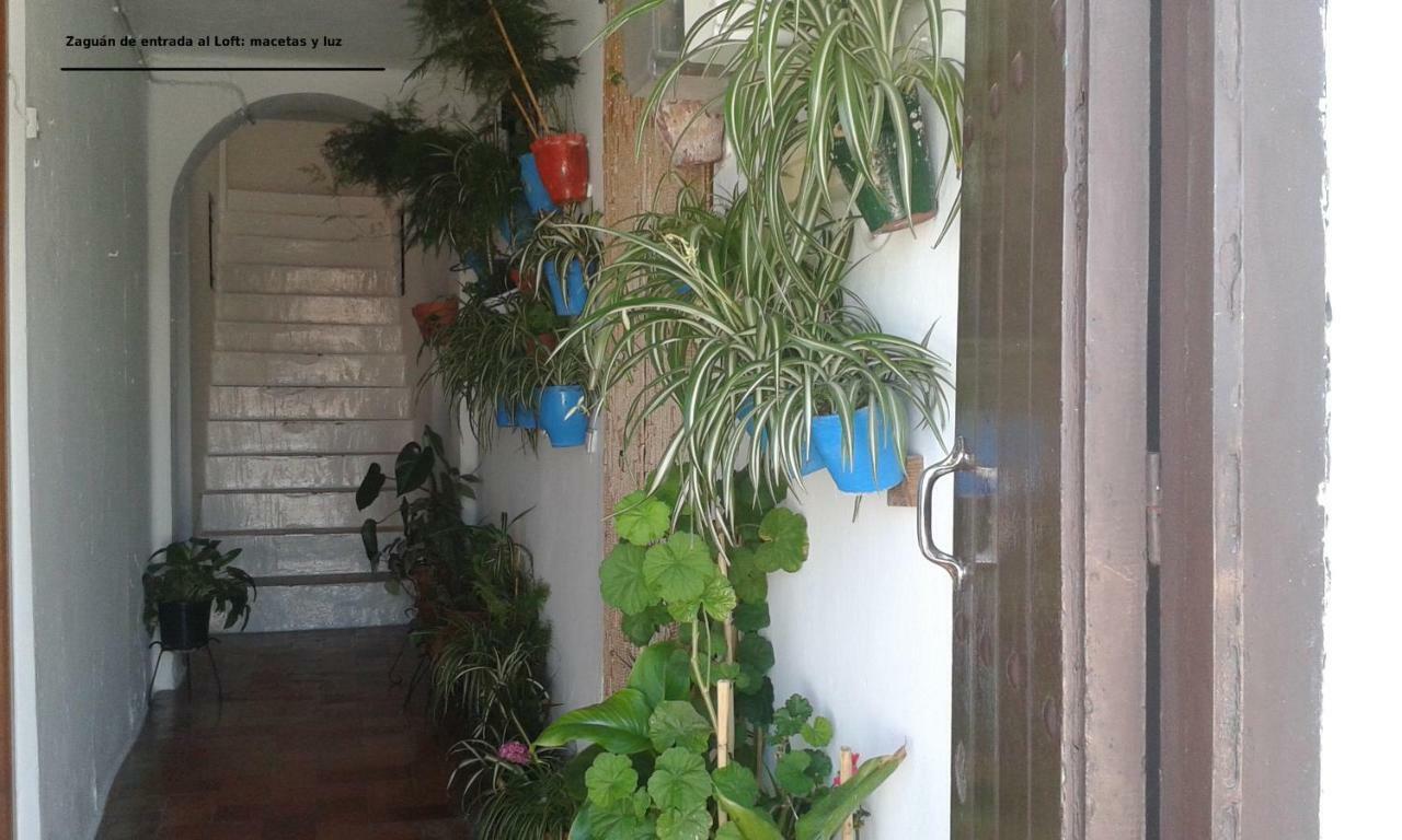 Loft De La Morena Y Estudio Jr Vejer de la Frontera Ngoại thất bức ảnh